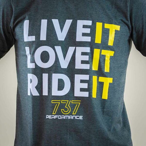 t-shirt Love it Gris 737 Motif